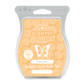 Camu Camu Scentsy Bar