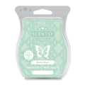 Bonfire Beach Scentsy Bar