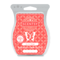 Go, Go, Mango Scentsy Bar