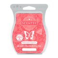 Watermelon Tangerine Scentsy Bar
