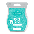 Palm Trees & Ocean Breeze Scentsy Bar