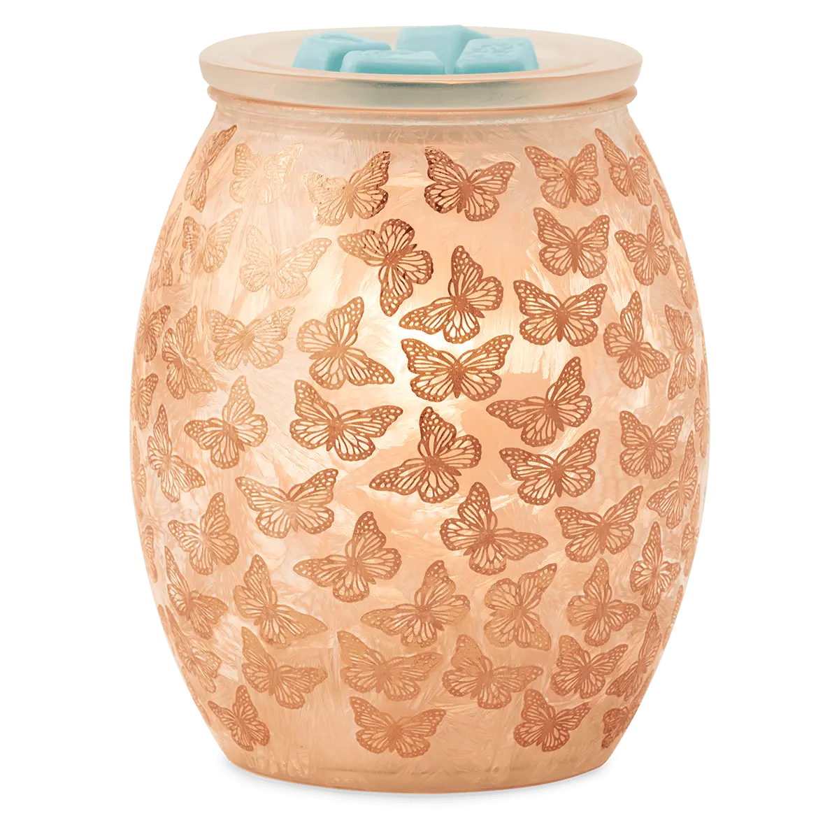 Butterfly Wings Warmer