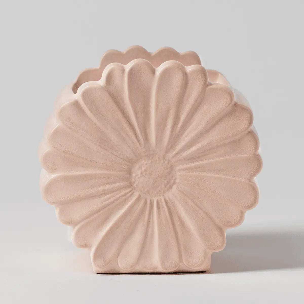 Daisy Warmer