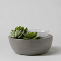 Little Garden Warmer