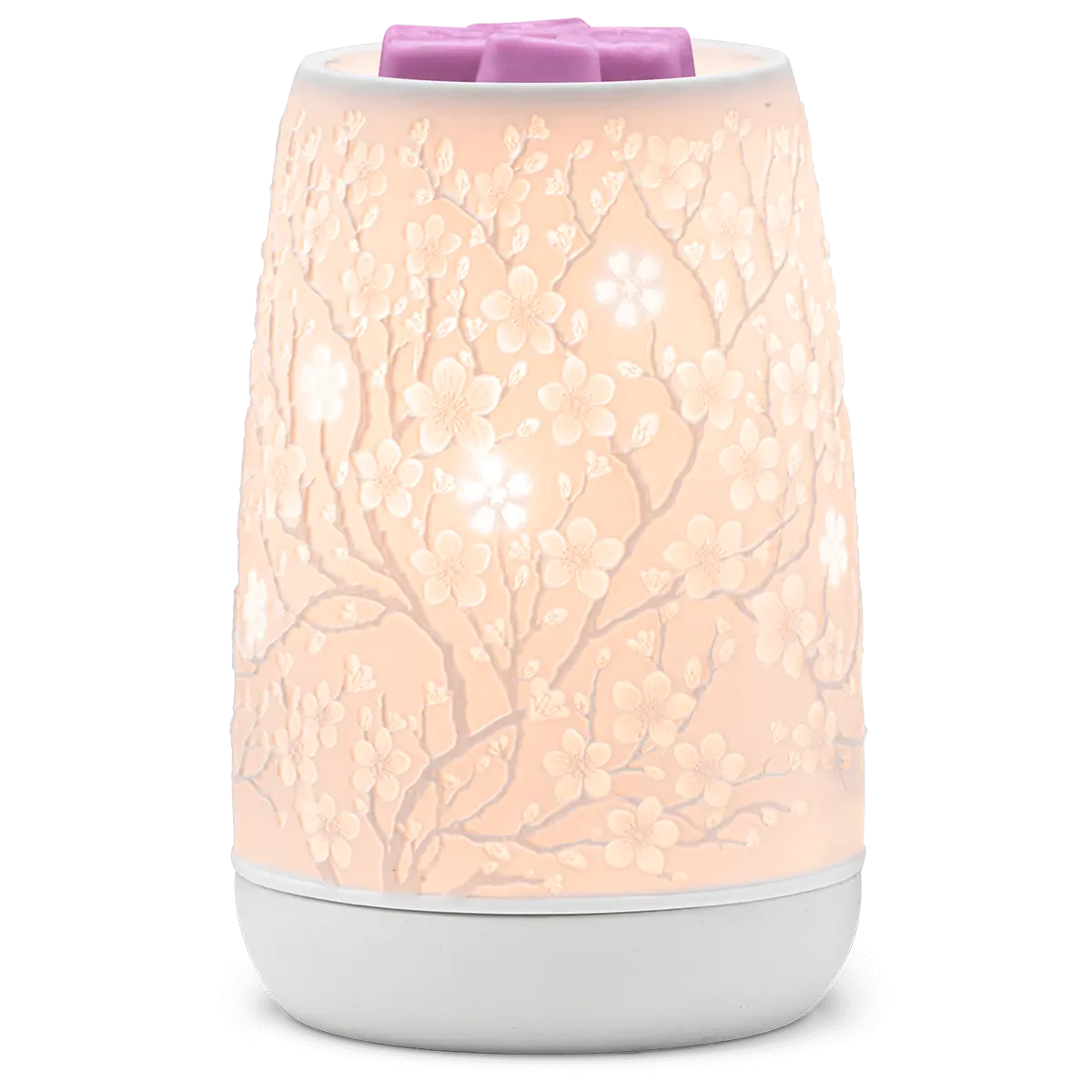 Sakura Warmer