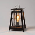 Shining Light Warmer