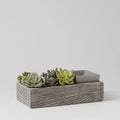 Suc-cute-lent Warmer