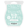 Coconut Blossoms Scentsy Bar