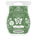 Iced Balsam Scentsy Bar