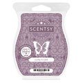 Lucky in Love Scentsy Bar