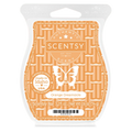 Orange Dreamsicle Scentsy Bar