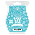 Pearlescent Coast Scentsy Bar