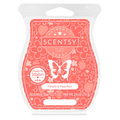 Petals & Peaches Scentsy Bar