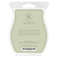 Serene Succulent Scentsy Bar