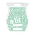 Aloe Water & Cucumber Scentsy Bar