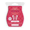 Cinnamon Bear Scentsy Bar