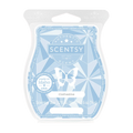 Clothesline Scentsy Bar