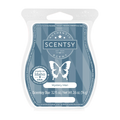 Mystery Man Scentsy Bar