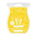 Squeeze the Day Scentsy Bar