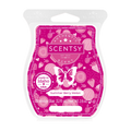 Summer Berry Melon Scentsy Bar