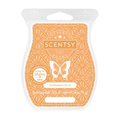 Sunkissed Citrus Scentsy Bar