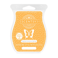Tropical Coconut Nectar Scentsy Bar