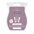 Welcome Home Scentsy Bar