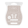 White Amber & Teak Scentsy Bar